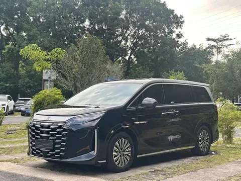 2025 BYD Xia DM-i PHEV 1.5T 180km Excellence