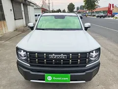 2022 Haval Cool Dog 1.5T DCT 4WD, белый — фото 3