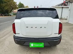 2022 Haval Cool Dog 1.5T DCT 4WD, белый — фото 6