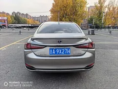 2021 Lexus ES 300h Excellence — фото 8