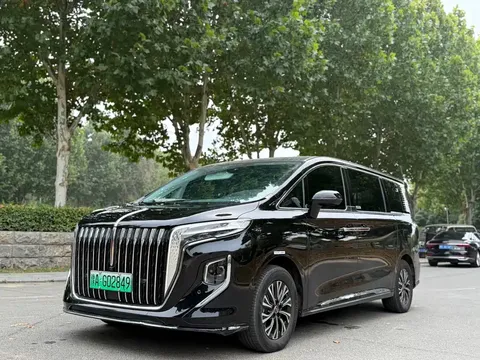 2024 Hongqi HQ9 2.0T Business