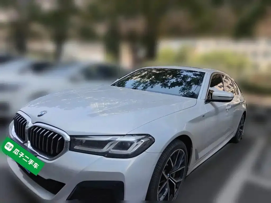 2021 BMW 5 Series 530Li Premium M Sport Package