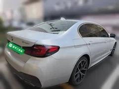2021 BMW 5 Series 530Li Premium M Sport Package, белый — фото 4