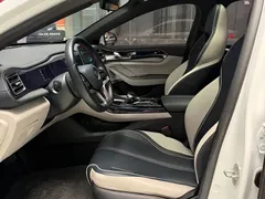 2021 BYD Qin PLUS EV 500KM Luxury, белый — фото 9