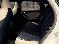 2021 BYD Qin PLUS EV 500KM Luxury, белый — фото 11