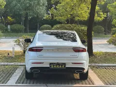 2021 Geely Preface 2.0TD Luxury, белый — фото 13
