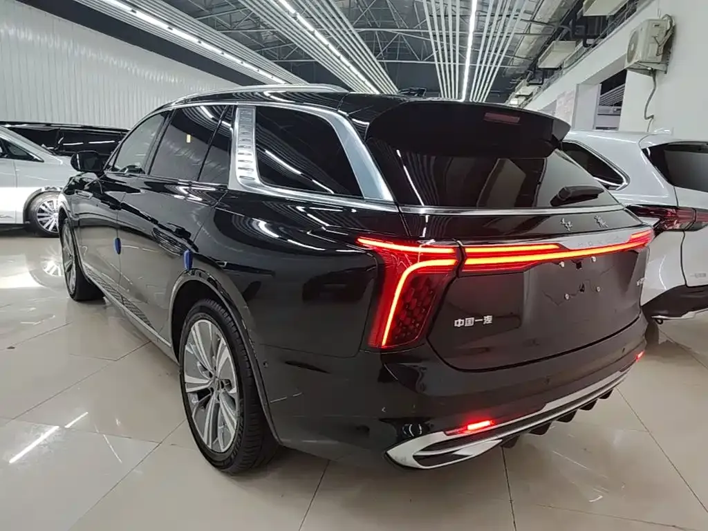2022 Hongqi E-HS9 690km 6-seat
