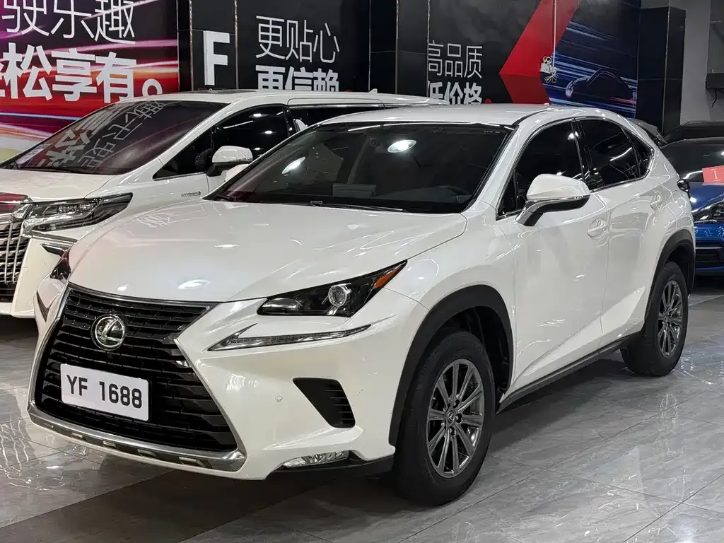 2020 Lexus NX 200 2WD Fengxing China VI