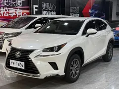 2020 Lexus NX 200 2WD Fengxing China VI, белый — фото 1