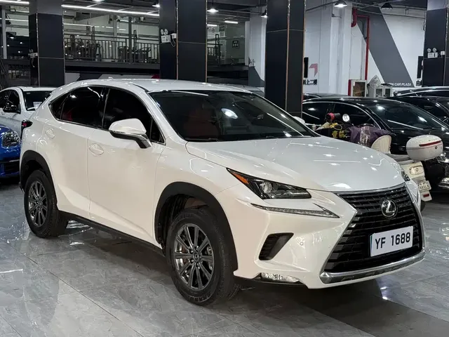 2020 Lexus NX 200 2WD Fengxing China VI