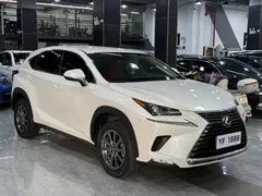 2020 Lexus NX 200 2WD Fengxing China VI, белый — фото 3