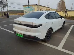 2025 BYD Seal 05 PHEV DM-i Smart Drive 55km Luxury, белый — фото 2