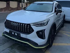 2021 Haval Chitu 1.5T Jiqing Platinum Rabbit, белый — фото 1