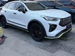 2021 Haval Chitu 1.5T Jiqing Platinum Rabbit, белый — фото 4