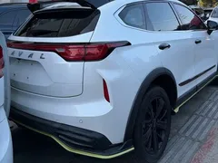2021 Haval Chitu 1.5T Jiqing Platinum Rabbit, белый — фото 6