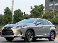 2020 Lexus RX 300 2WD Elite — фото 1