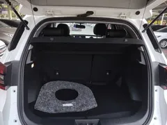 2020 Chery Tiggo 5x 1.5L CVT, белый — фото 19
