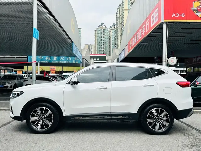 2023 Haval H6 1.5T AT Guochao Champion