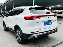 2023 Haval H6 1.5T AT Guochao Champion, белый — фото 7