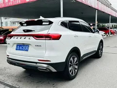 2023 Haval H6 1.5T AT Guochao Champion, белый — фото 8