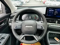 2023 Haval H6 1.5T AT Guochao Champion, белый — фото 10