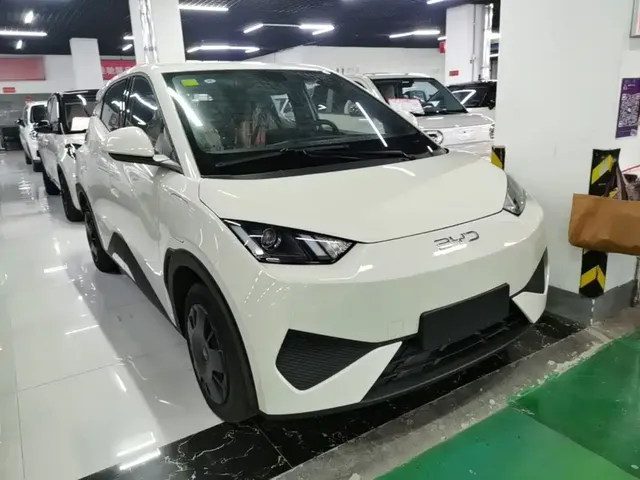 2025 BYD Seagull EV 305km
