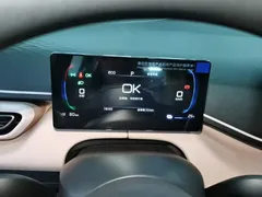 2025 BYD Seagull EV 305km, белый — фото 12