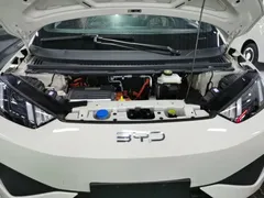 2025 BYD Seagull EV 305km, белый — фото 20