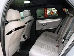 2025 BYD Han PHEV 125km Elite — фото 11