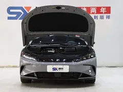 2025 BYD Han PHEV 125km Elite — фото 18