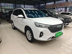 2021 Haval M6 Plus 1.5T DCT Luxury, белый — фото 4