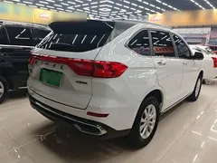 2021 Haval M6 Plus 1.5T DCT Luxury, белый — фото 7
