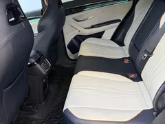 2023 BYD Song PLUS DM-i PHEV 110km Flagship Champion — фото 12