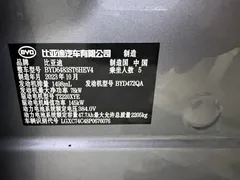 2023 BYD Song PLUS DM-i PHEV 110km Flagship Champion — фото 13