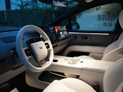 2025 Li Auto i6 2WD Standard — фото 16