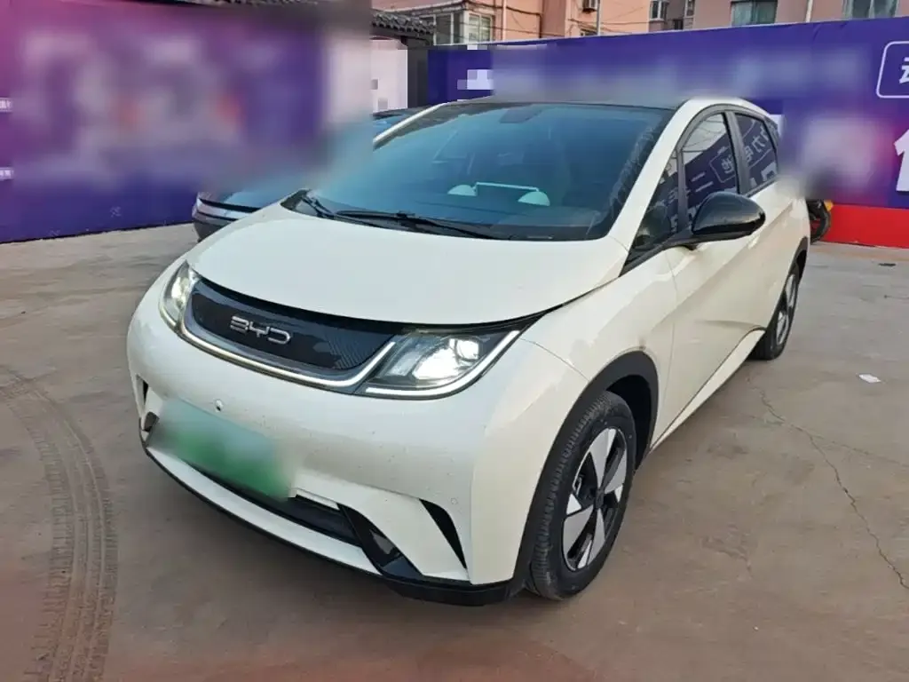 2023 BYD Dolphin 420km Fashion