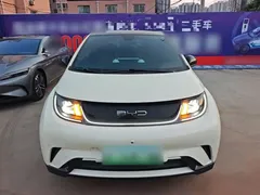 2023 BYD Dolphin 420km Fashion, белый — фото 3