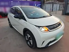 2023 BYD Dolphin 420km Fashion, белый — фото 4