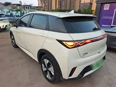 2023 BYD Dolphin 420km Fashion, белый — фото 5
