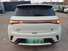 2023 BYD Dolphin 420km Fashion, белый — фото 6