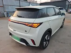 2023 BYD Dolphin 420km Fashion, белый — фото 7
