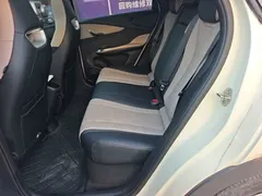 2023 BYD Dolphin 420km Fashion, белый — фото 17
