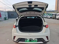 2023 BYD Dolphin 420km Fashion, белый — фото 19