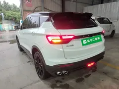 2021 Geely Coolray 1.4T DCT Diamond, белый — фото 5