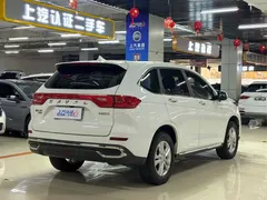 2021 Haval M6 Plus 1.5T DCT Comfort, белый — фото 11