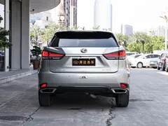 2021 Lexus RX 300 4WD Special Edition — фото 5