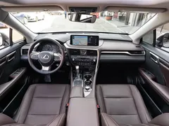 2021 Lexus RX 300 4WD Special Edition — фото 13