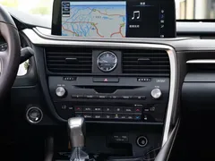 2021 Lexus RX 300 4WD Special Edition — фото 17