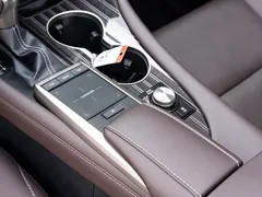 2021 Lexus RX 300 4WD Special Edition — фото 18
