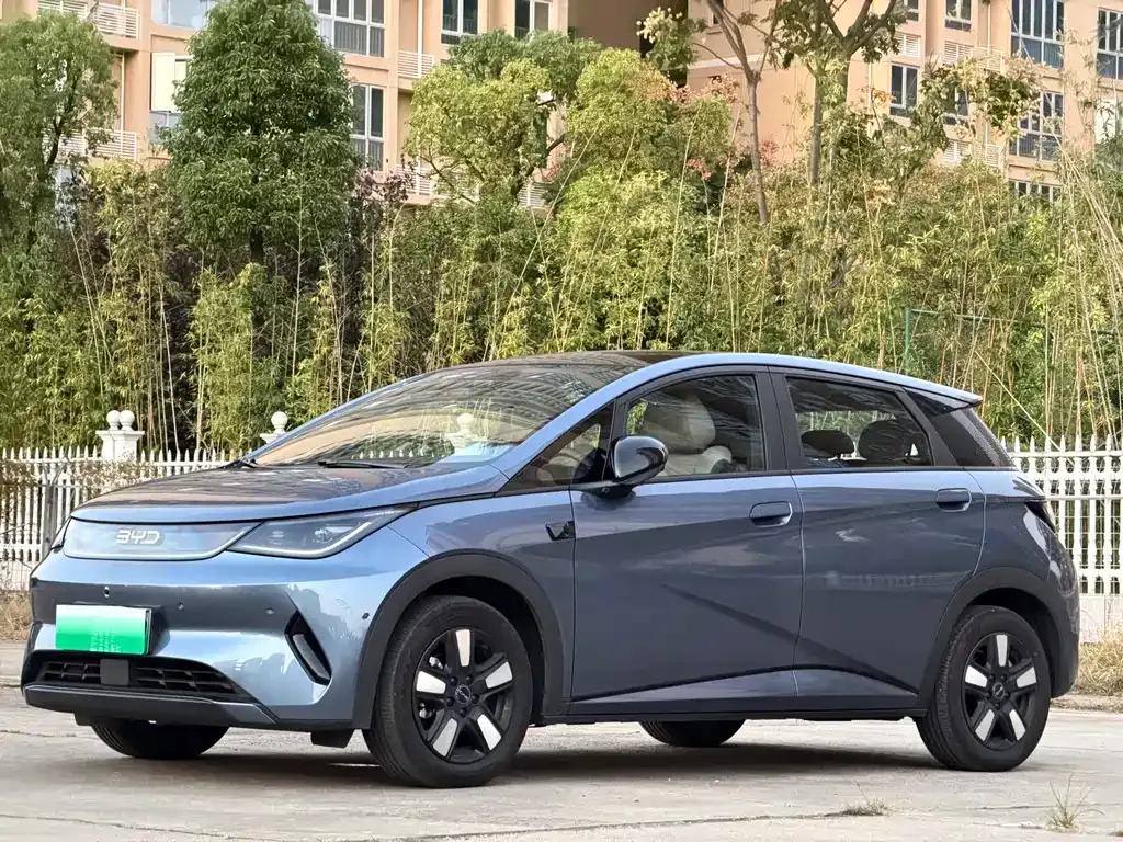 2025 BYD Dolphin Smart Driving 410km Fashion